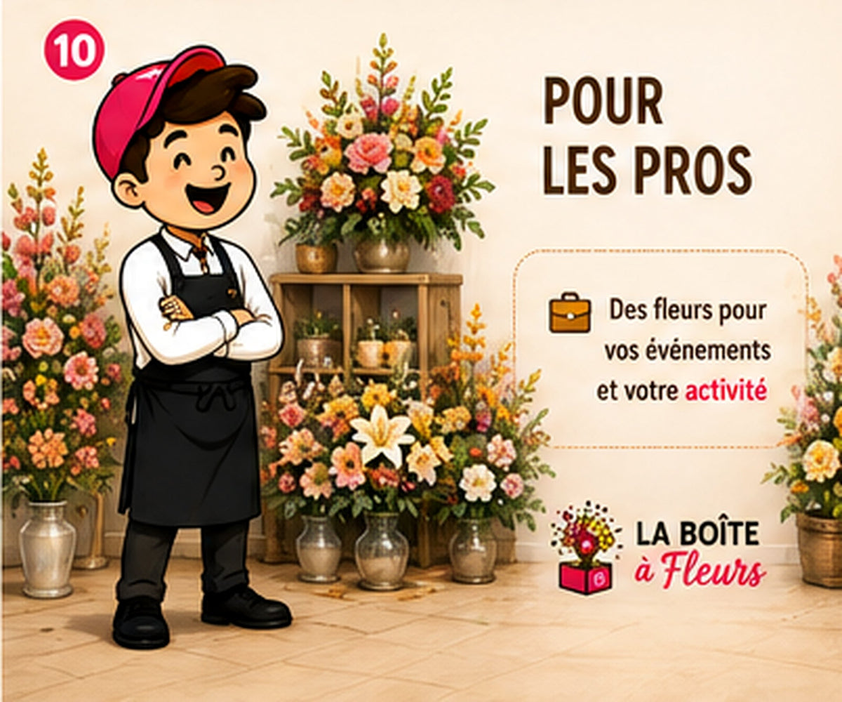 L'abonnement pour les pros