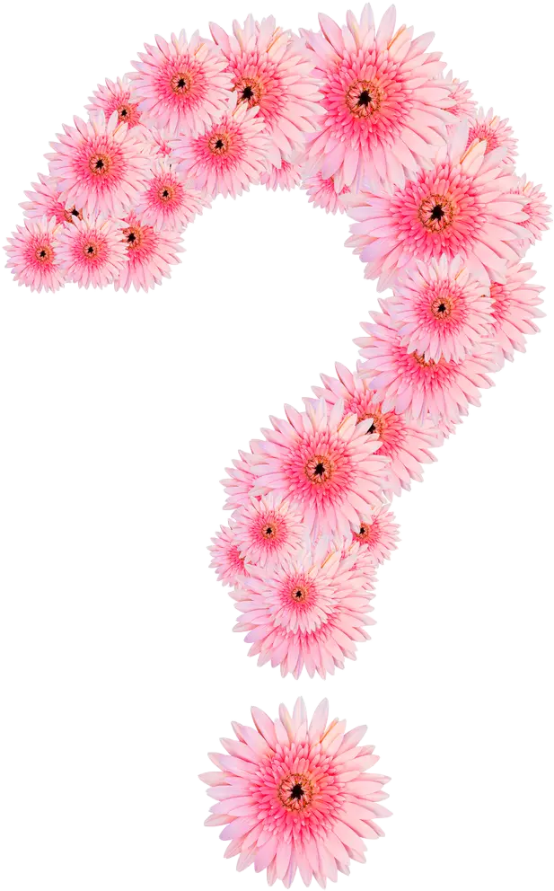 Abonnement Floral – La Boîte à fleurs