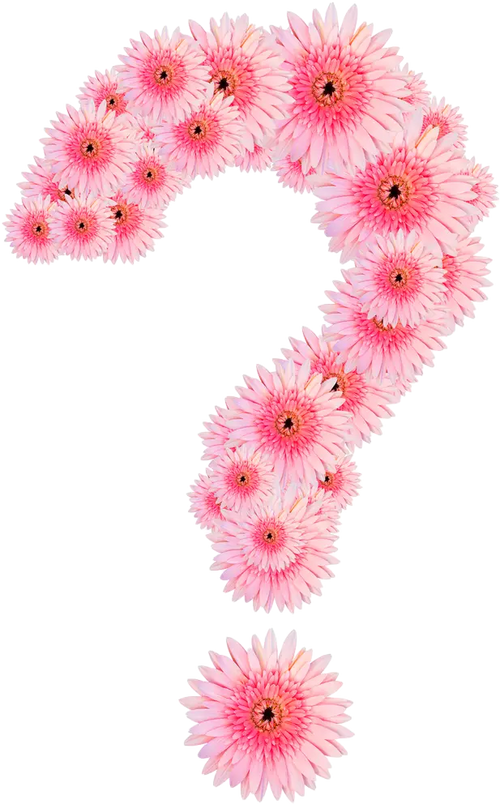 Abonnement Floral – La Boîte à fleurs